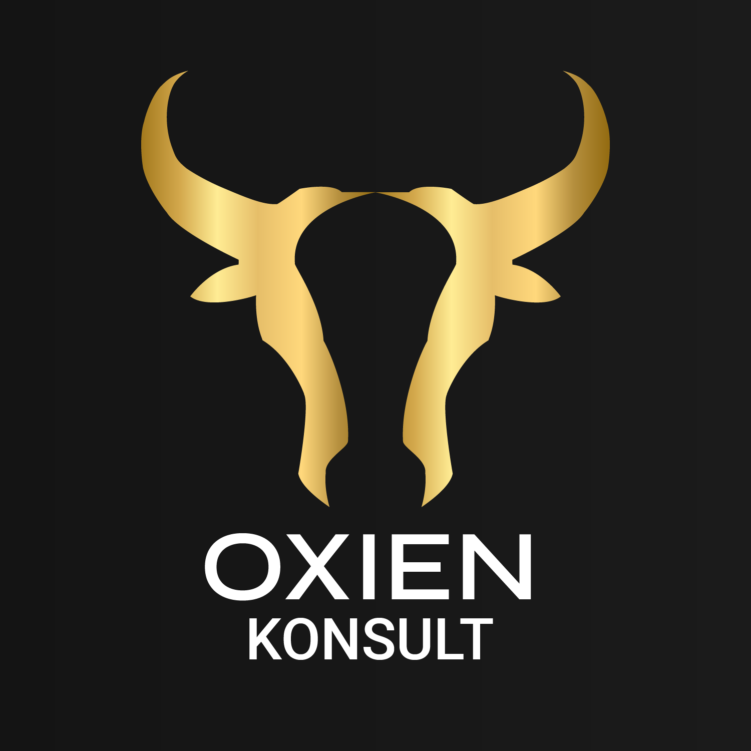 Oxien Konsult AB